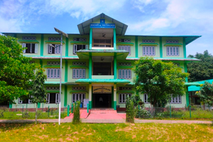 Kamargaon College