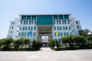 College of Science and Engineering