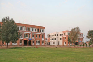 Jodhpur National University