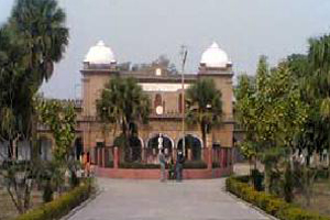 The Indira Gandhi National Open University - New Delhi