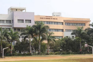 Bharati Vidyapeeths College of Engineering for Women