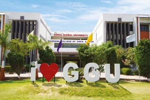 Gokul Global University