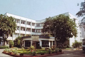 Institute of Media, Fashion and Allied Arts