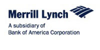 DSP Merrill Lynch