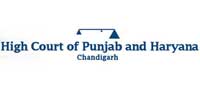 punjab & haryana high court