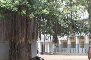 Bombay Scottish School, Mahim, Mumbai