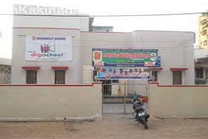 Narayana E M School