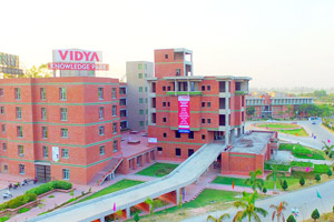 Vidya Global School, Meerut