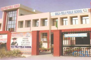 Gold - Field Public School - Dwarka