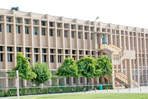 Modern Vidya Niketan, Sector 17, Faridabad