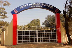 Army Public School - APS Allahabad