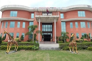 Mahavir International School, Delhi