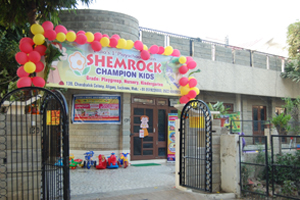 SHEMROCK Gallery